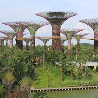 Gardens by the Bay - Wikipedia, the free encyclopedia