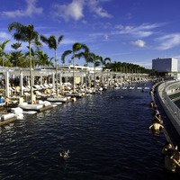 Marina Bay Sands SkyPark: An Iconic Singapore Destination ...