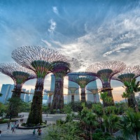 Gardens by the Bay - Urban Park in Singapore - Thousand Wonders