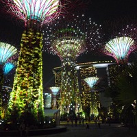 Gardens by the Bay - Wikipedia, the free encyclopedia