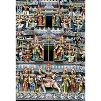 Sri Srinivasa Perumal Temple, 新加坡, CitySeeker