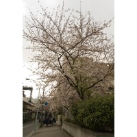Panoramio - Untitled photo
