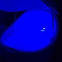 Pod floating - Picture of Theta State Float Center, Bangkok ...