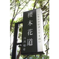 攝香味§2009.05 櫻木花道內灣咖啡@米兒兔-iPeen 愛評網