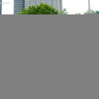 纽约华尔街铜牛摄影图__风景名胜_自然景观_摄影图库_昵图网nipic.com