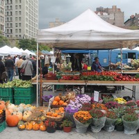 a Saturday morning at the Union Square Greenmarket | Most Lovely ...
