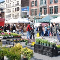 Seafood Fest at Union Square Greenmarket | Edible Manhattan