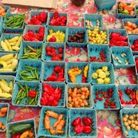Union Square Greenmarket in New York New York profile at farmers ...