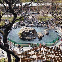 Central Park Zoo - The Official Website of Central Park NYC