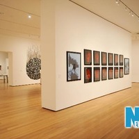 紐約現代藝術博物館舉行女性藝術家作品展(組圖) - 新聞- 國際線上