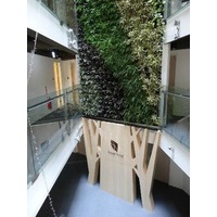 1 - 台中市葉綠宿旅館的圖片- TripAdvisor