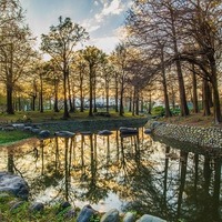 宜蘭景點推薦│羅東運動公園~一年四季都能看到不同的美景(內有打完 ...