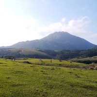台北】小旅行- 陽明山.擎天崗大草原.小黑牛.文大後山日落@ Boyce ...