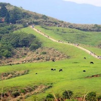 陽明山國家公園】七星山、小油坑、擎天崗、絹絲瀑布一日遊- 生活、印象 ...