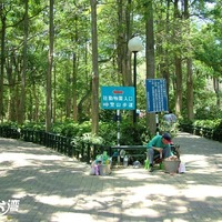 壽山風景區(壽山自然公園) 高雄景點玩全台灣旅遊網