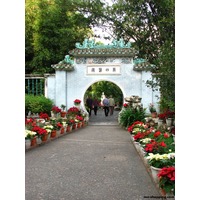 澳門盧廉若公園 - 景點介紹- 新新橋