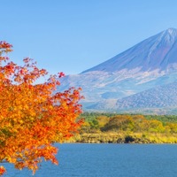 精進湖的景點資訊|絕景日本