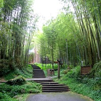 溪頭森林遊樂區003 | 溪頭裡有一處都是竹林,有間名為竹廬的房子,以前 ...