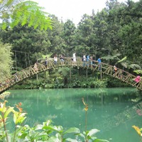 溪頭自然教育園區(溪頭森林遊樂區) - 鹿谷鄉- 南投縣- 台灣旅遊資訊 ...
