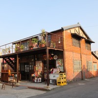 嘉義夯劇景點。用九柑仔店、慶和柑仔店、苦楝樹