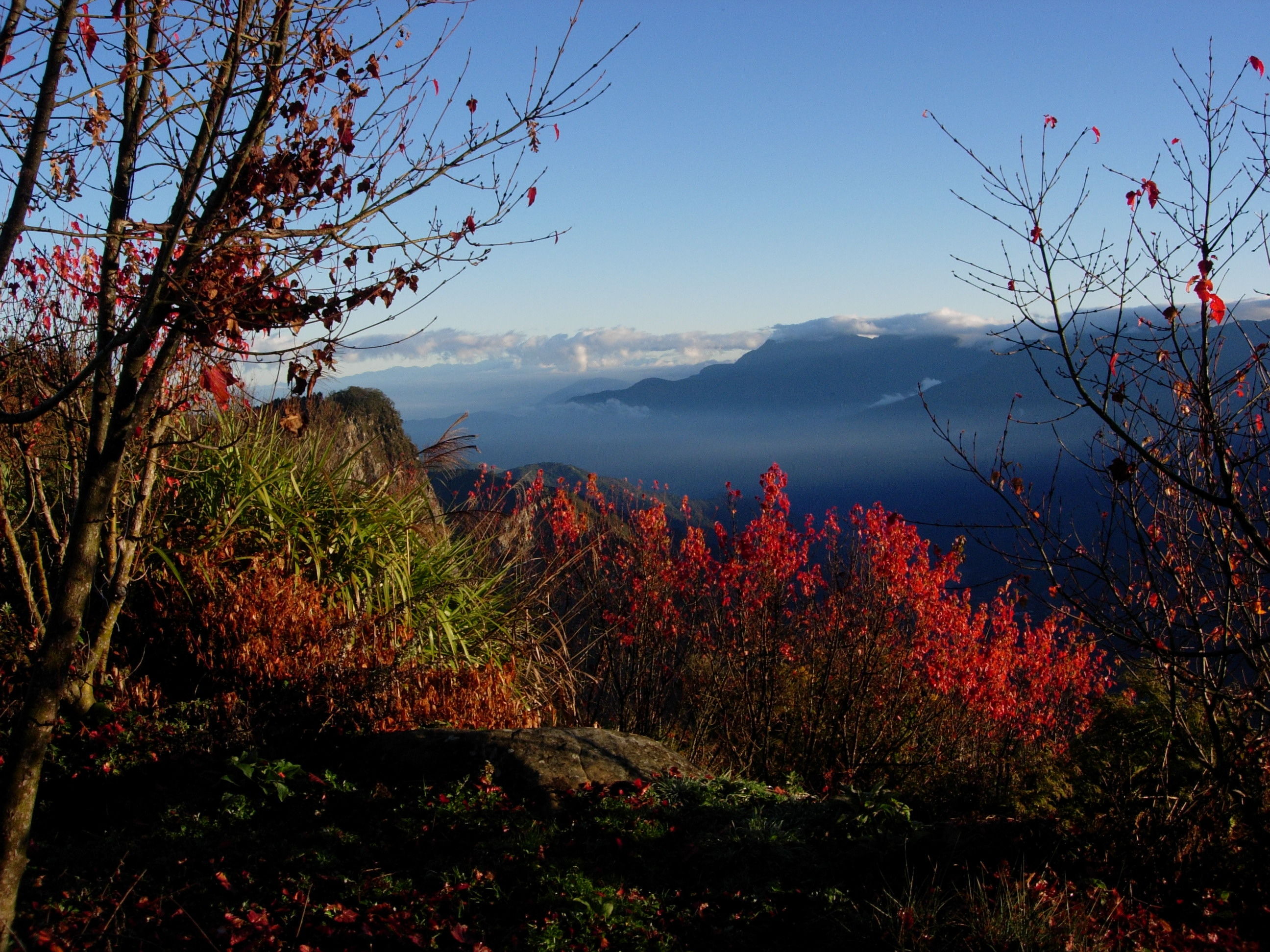 環島漫漫遊！阿里山、高雄、花蓮豐富玩四天
