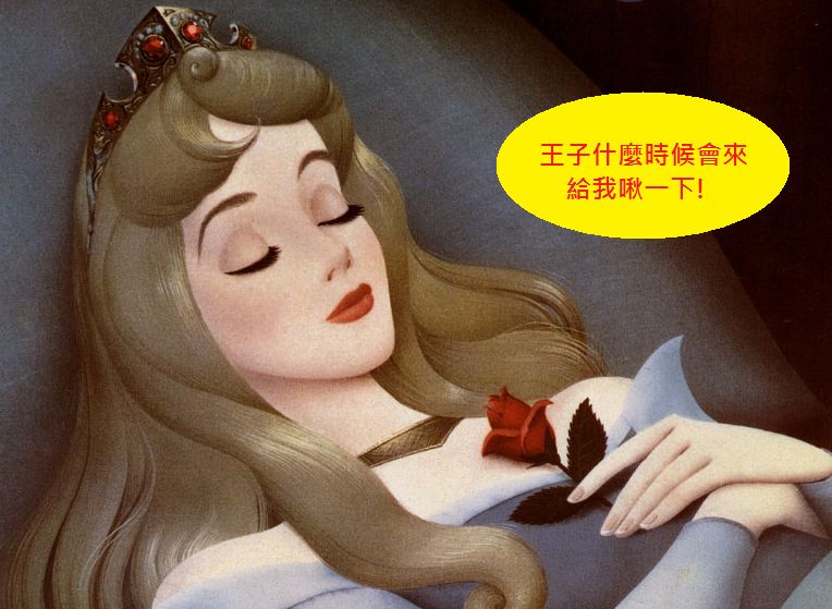 【範例行程】 與Cue的第一次親密接觸