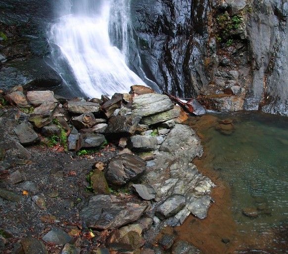 東北角、棲蘭神木之旅兩日遊