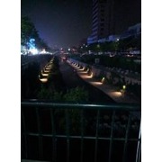 장나나