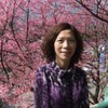 簡梅蘭